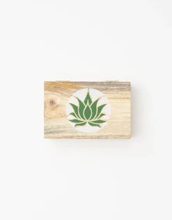 Caja Lotus