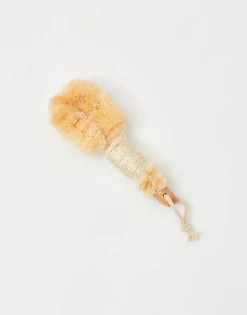 Cepillo Corporal